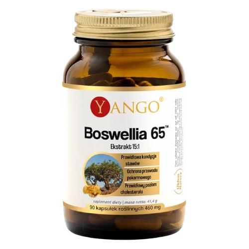 Miniaturka artykułu - YANGO Boswellia 65, 90 kaps.