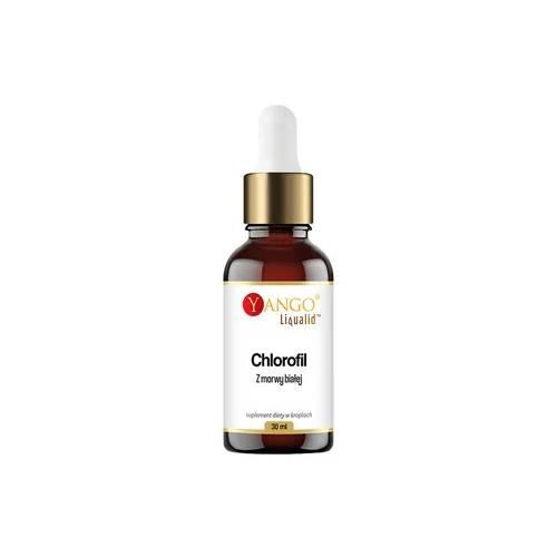 Yango Chlorofil z morwy białej, 30 ml