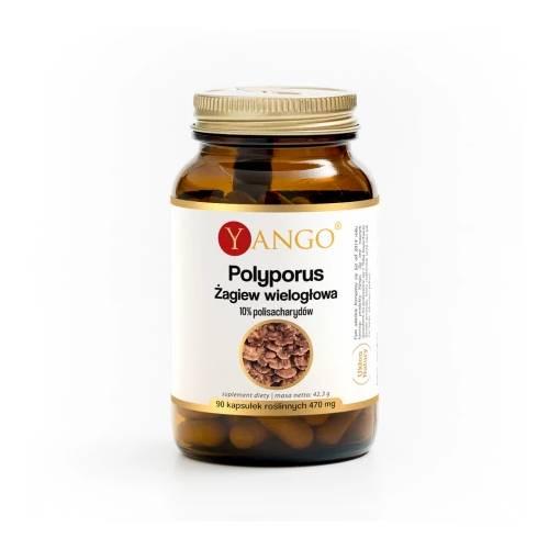 Miniaturka artykułu - YANGO Polyporus Żagiew Wielogłowa, 90 kaps.